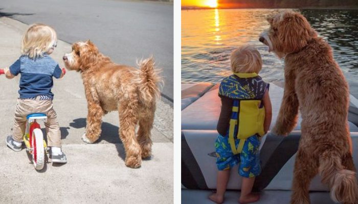 There Is An Incredible Bond Formed Between A 4-Year-Old Child And A ...